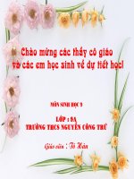 Protein (anh chị donw thì cho em xin ý kiến nhé, tks)