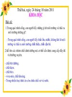 Giao an thao giang Khoa hoc 4 Tiet 20