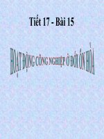 Hoat dong cong nghiep o doi on hoa