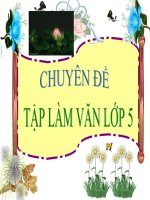 Tập làm văn tuần 8: Luyện tập tả cảnh