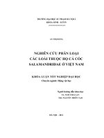 khóa luận tốt nghiệp nghiên cứu phân loại các loài thuộc họ cá cóc salamandridae ở việt nam