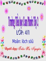 Lich su bai Dinh Bo Linh dep loan 12 su quan