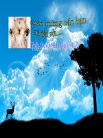 bai 5 cung cau trong sx va luu thong hang hoa