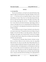 khóa luận tốt nghiệp nghiên cứu sự đa hình di truyền của các dòng hoa cúc được tạo ra bằng phương pháp chiếu xạ gây đột biến giống saphia trắng