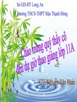 quang hợp ở thực vật