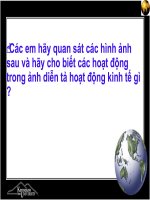 Địa lý Nông Nghiệp