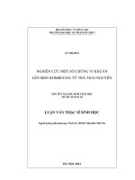 nghiên cứu một số chủng vi khuẩn lên men kombucha từ trà thái nguyên