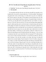 ĐỀ TÀI: Tìm hiểu một số hoạt động gia công phần mềm ở Việt Nam.