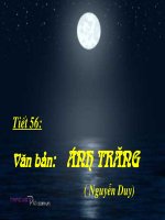 Ánh trăng - Nguyễn Duy