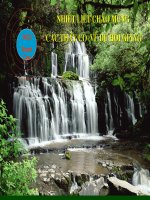 T57.NV7. Một thứ quà của lúa non