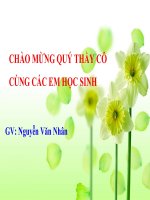 bài 9 tế bào nhân thực