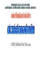 TNXH LỚP 3 CÁC THẾ HỆ TRONG GIA ĐÌNH