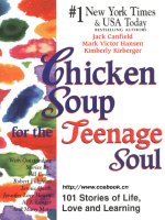 chicken soup for the teenage soul