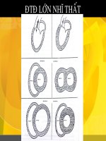 Bài giảng về lớn nhĩ nhất