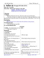 giao an lop 3 TUAN 13 CKTKN co tich hop BVMT, QVG