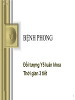 Bài giảng về bệnh phong