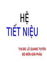 Giải phẫu hệ tiết niệu