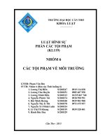 ĐỀ TÀI CÁC TỘI PHẠM VỀ MÔI TRƯỜNG