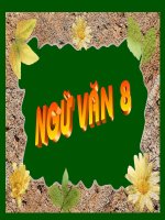 luyen noi:thuyet minh ve mot thu do dung