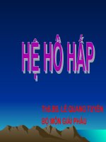 Giải phẫu hệ hô hấp