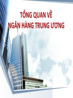 slide tổng quan về ngân hàng trung ương
