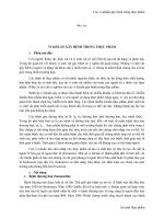 2 vi khuẩn gây bệnh trong thực phẩm