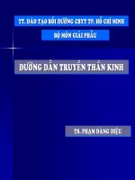 Giáo trình đường dẫn truyền thần kinh