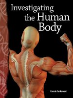 investigating the human body