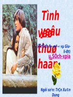 Tình yêu và thù hận (Trích 