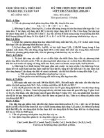 Đề thi HSG hóa TT Huế 2010 - 2011