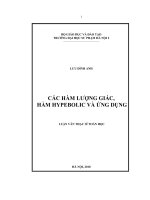 các hàm lượng giác, hàm hypebolic và ứng dụng