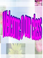 UNIT 15 - READING - LỚP 12