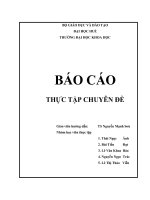 Báo cáo THực tập Tại Huế