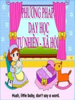 NHỮNG CHÍNH SÁCH VỀ KINH TẾ VÀ VĂN HÓA CỦA VUA QUANG TRUNG