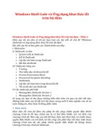 Windows shell code và ứng dụng khai thác lỗi tràn bộ đệm