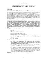 Sỏi túi mật và biến chứng