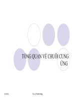 nghiên cứu tổng quan về chuỗi cung ứng