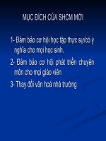 Kinh nghiệm đổi mới sinh hoạt chuyên môn