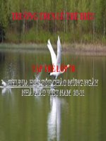 tiết 43. Từ đồng âm