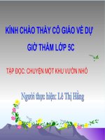 Chuyen mot khu vuon nho