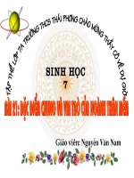 DAC DIEM CHUNG VA VAI TRO CUA NGANH THAN MEM