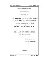 Nghiên cứu khả năng sinh trưởng và phát triển của chủng nấm sò trắng (Pleurotus Florida) trên giá thể mùn cưa bồ đề