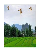 Bai 7: Mĩ thuật  lop 4