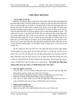 Kỹ thuật thu thập bằng chứng kiểm toán tại công ty TNHH kiểm toán vietvalues