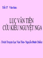 Luc van tien cuu kieu nguyet nga