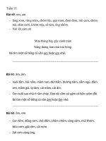 on tap TV tuan 15 -1