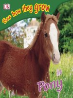 pony - see how they grow