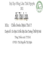 thảo luận các bệnh về mắt vật nuôi