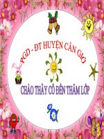 LT&C Tình cảm dấu chấm