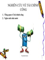 slide về tài chính công